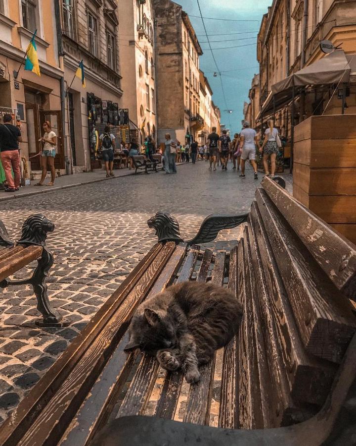 Cozy & New Furnished Flat In Old Town Of Lviv Apartment Bagian luar foto